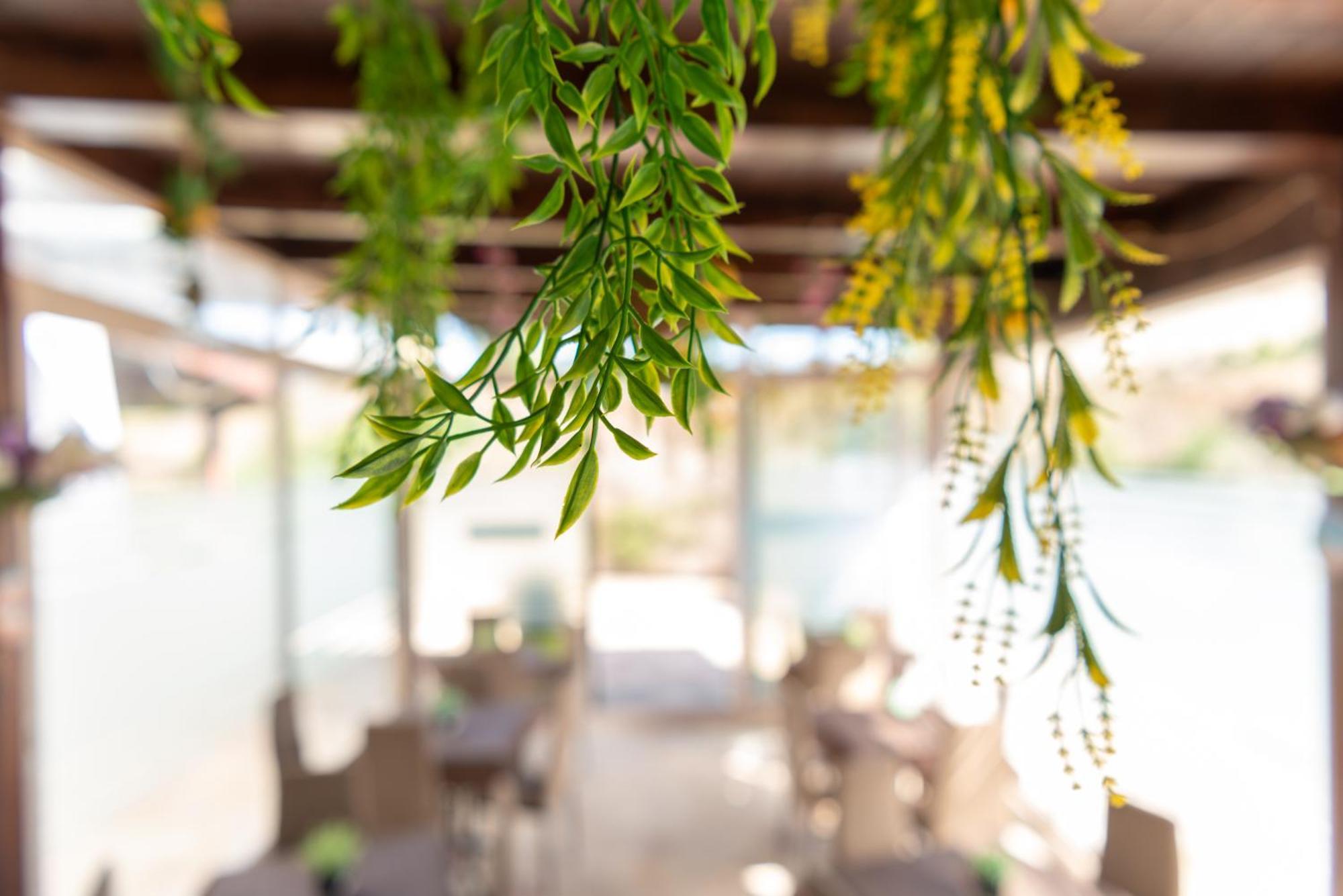 B&B Tenuta Barone Gallipoli Ngoại thất bức ảnh